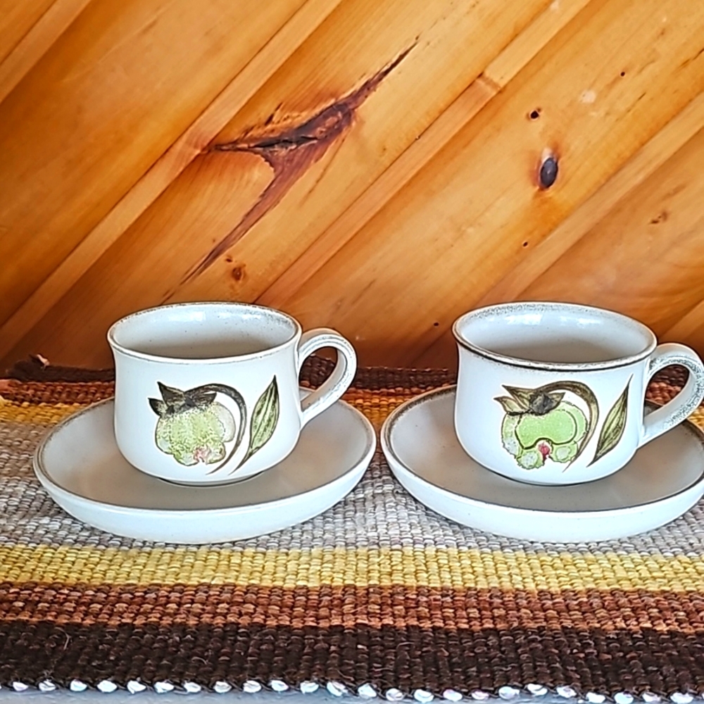 Set of 2 Denby Troubadour Cup & Saucer